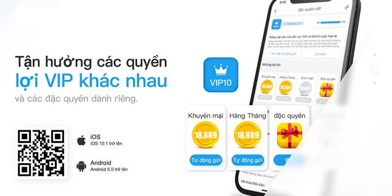 Đánh giá phiên bản app 8xbet