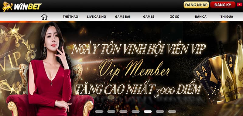 Thưởng thành viên VIP